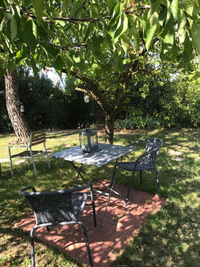 Le Jardin De La Cite Bed & Breakfast Carcassonne Ngoại thất bức ảnh