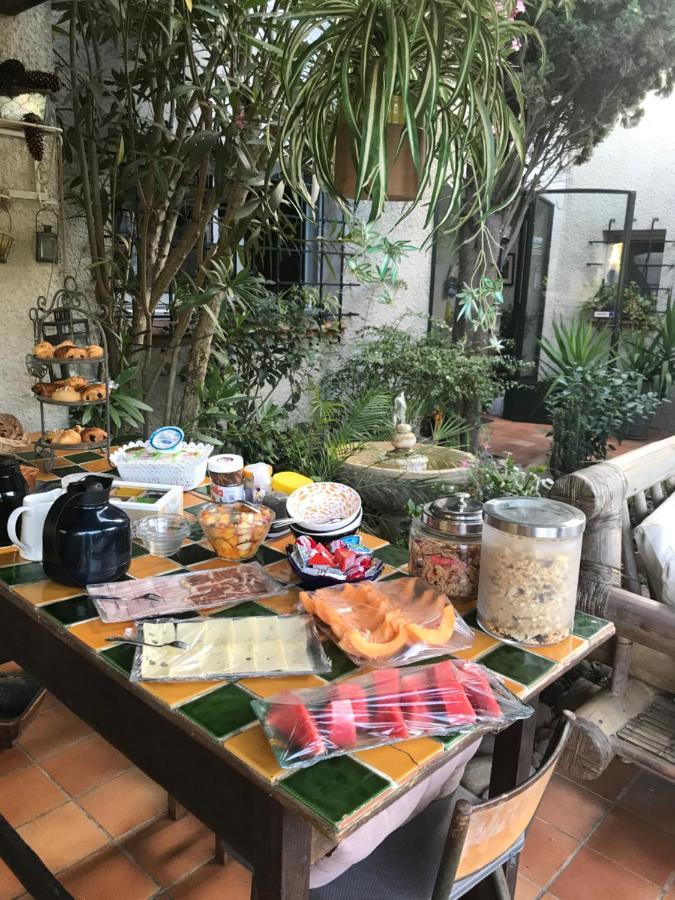 Le Jardin De La Cite Bed & Breakfast Carcassonne Ngoại thất bức ảnh